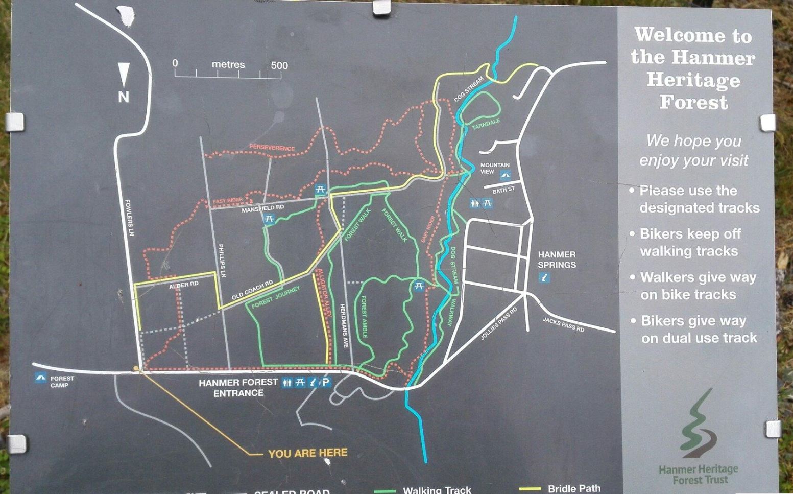 Creatures in Hanmer Forest Hanmer Springs TOP 10